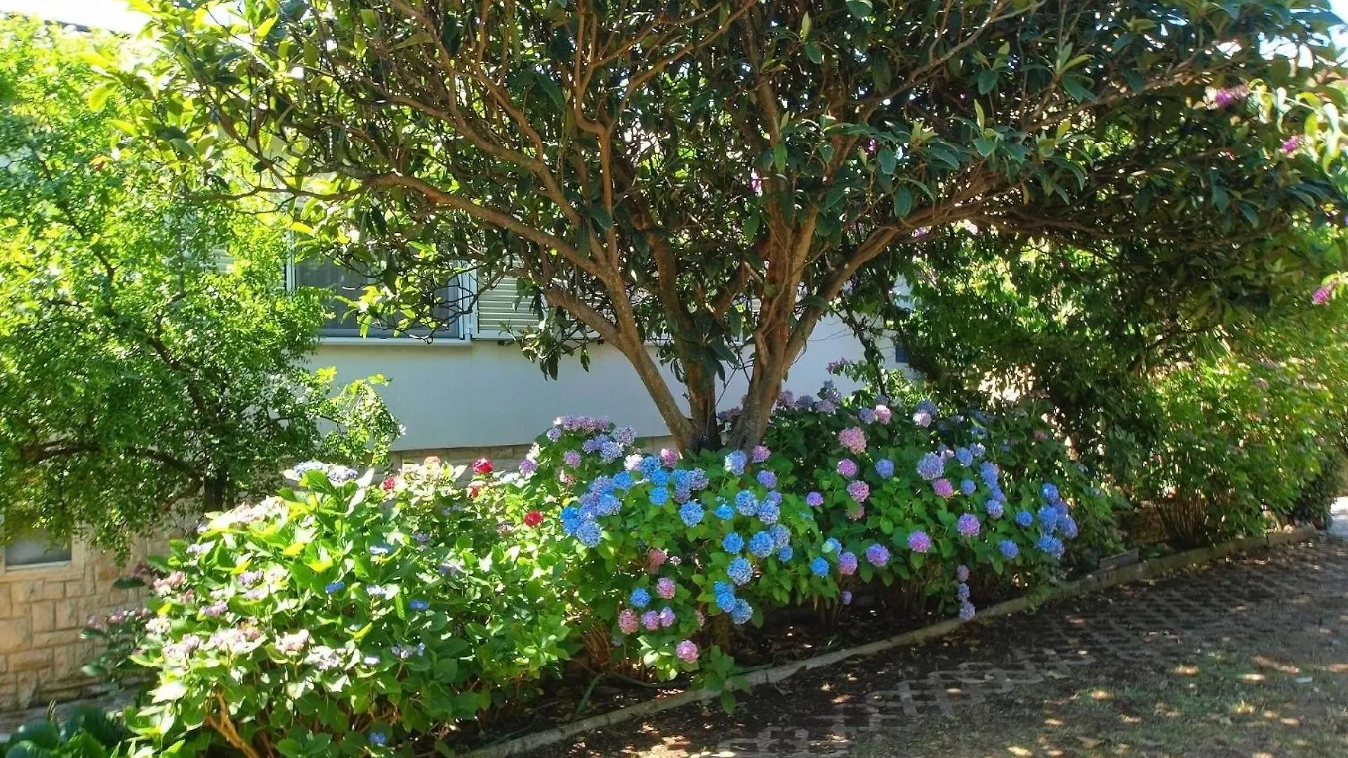 Ferienwohnung Fuer 2 Personen Ca 35 Qm In Premantura, Istrien Istrische Riviera 0*, Premantura